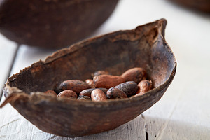 Cocoa Pod On White Wooden Table