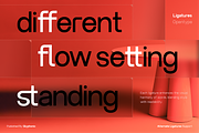 GC North Sans - Neo Modern Sans, a Sans Serif Font by Glyphonic (Thumbnail 6 of 15)
