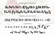 My Honey Belya, a Script Font by TM Type (Thumbnail 10 of 10)