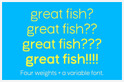 Le Sardino - Font for display & text, a Sans Serif Font by Suolahti Type (Thumbnail 2 of 7)