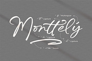 Trelasty Bettany, a Script Font by Integritype Studio (Thumbnail 14 of 15)