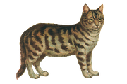 Vintage Cat Painting, an Illustration by Professional Assets (Thumbnail 2 of 3)