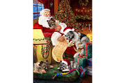 Santa Sleeping with Keeshond Dog Art, an Animal Illustration by Art Paradise Studios (Thumbnail 1 of 3)