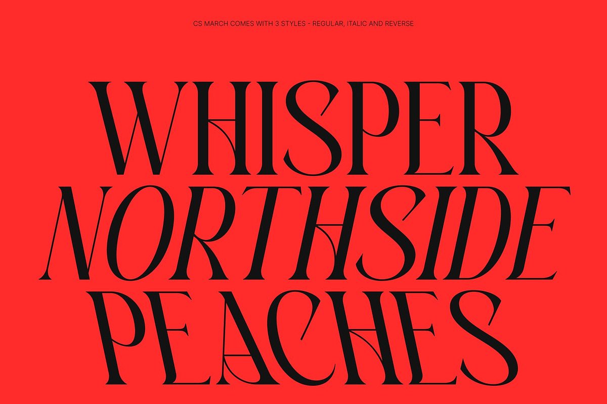 CS March – Modern Display Font, a Serif Font by Craft Supply Co. (Photo 3 of 8)