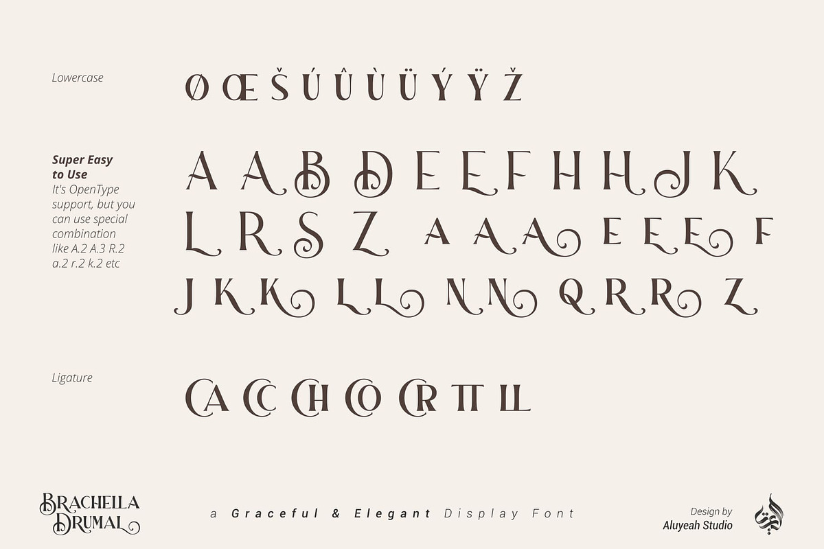 Brachella Drumal, a Font by Aluyeah Studio (Photo 15 of 16)