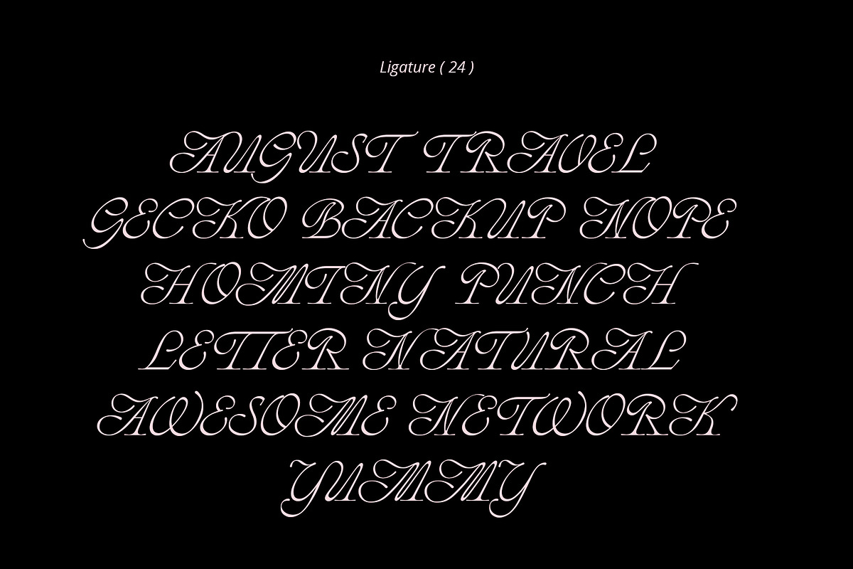 ED Phoebe, a Serif Font by Emyself Design (Photo 8 of 12)