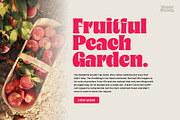 Megan Cloudy - Charming Serif, a Serif Font by Variatype (Thumbnail 3 of 10)