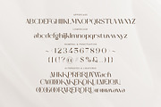 Our Beloved Matcha - Elegant FontDuo, a Serif Font by ClevUs (Thumbnail 12 of 13)