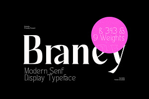 Ez-Barney - Modern Serif Display