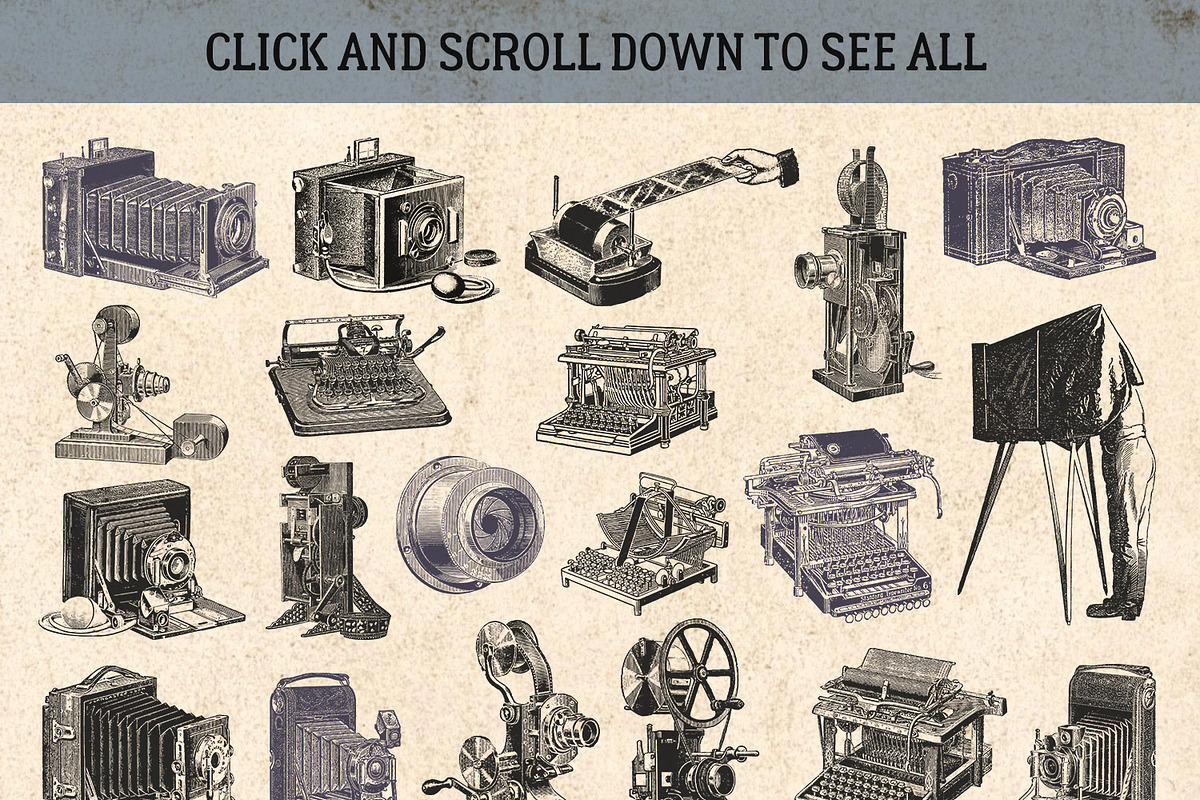 87% OFF Vintage Bundle - Free Update, an Animal Illustration by Brigantine Designs (Photo 12 of 21)