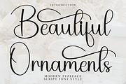 Beautiful Ornaments, a Handwritten Font by FreshTypeINK (Thumbnail 1 of 8)