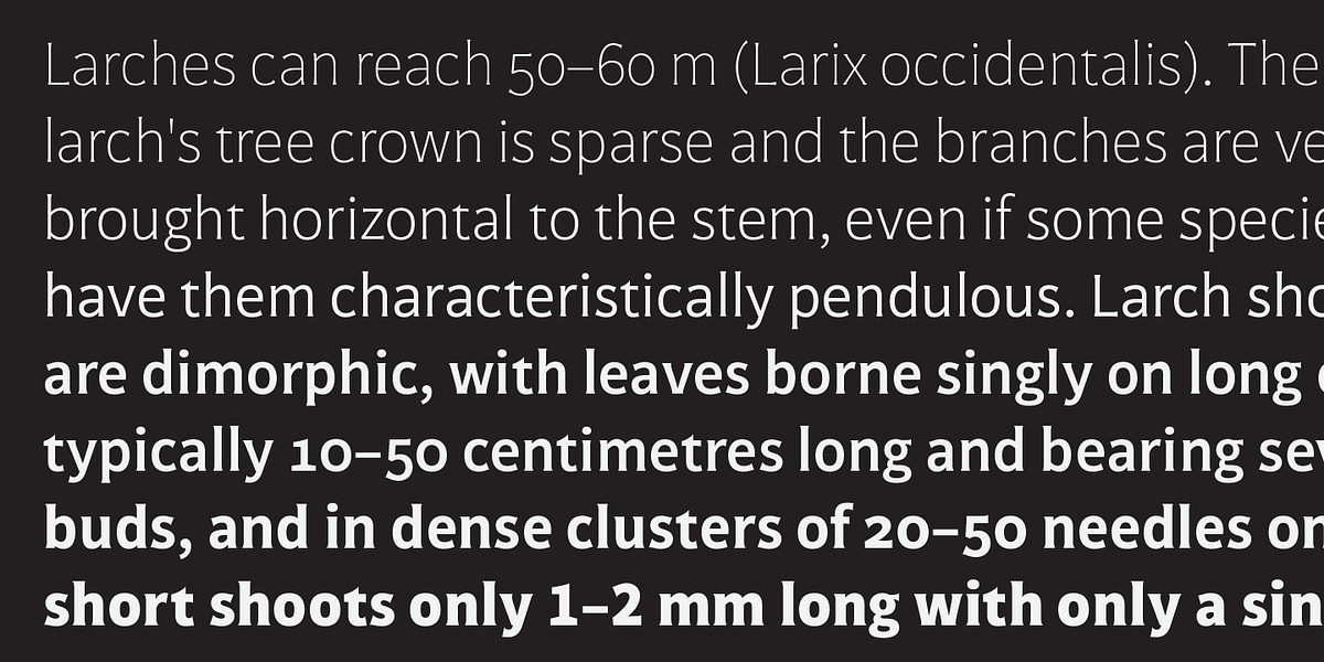 Mondo, a Sans Serif Font by Untype (Photo 4 of 14)