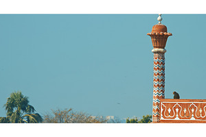 Agra, Uttar Pradesh, India. Monkey, an Architecture Photo by Our Amazing World