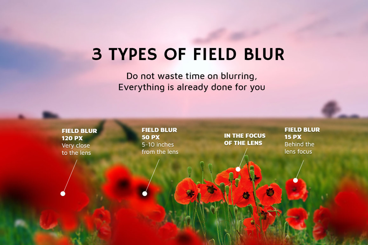 17 Poppie Flowers Photo Overlays, an Action Add-On by PhotoEffects.Store (Photo 3 of 9)