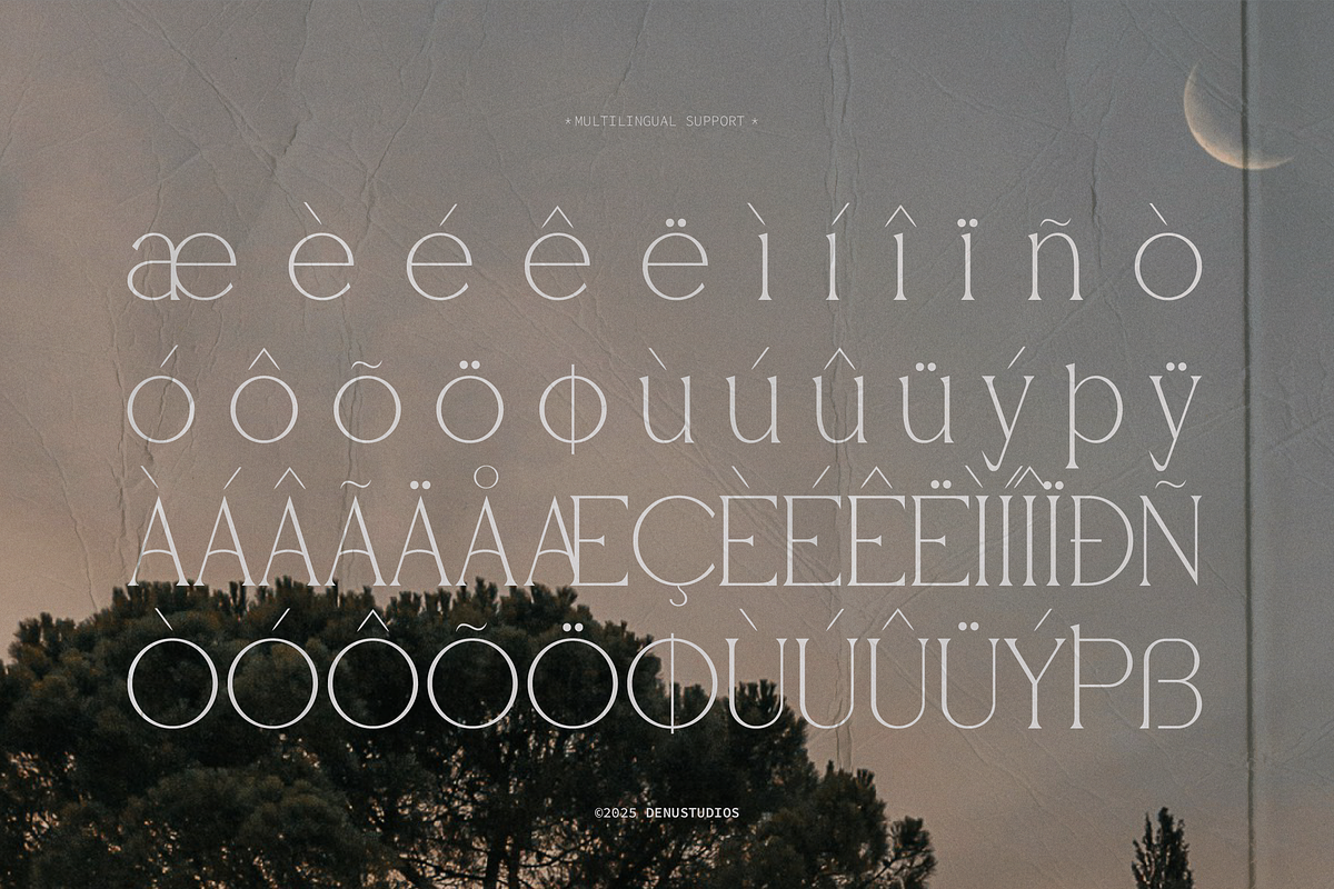 Gibme Foggie | Modern Elegant Serif, a Serif Font by Denustudios (Photo 12 of 12)