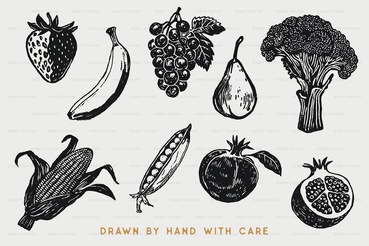 Fruit and Vegetable Illustrations, a Food Illustration by BirDIY Design (Photo 2 of 10)