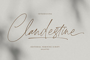 Clandestine Script, a Script Font by Rillatype Studio (Thumbnail 1 of 9)