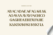 Gerdika, a Serif Font by Mantype Studio (Thumbnail 14 of 14)