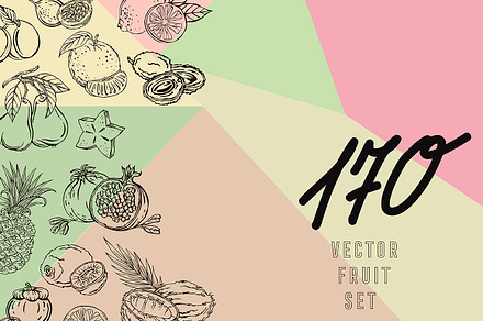 Vector illustration of fruits
