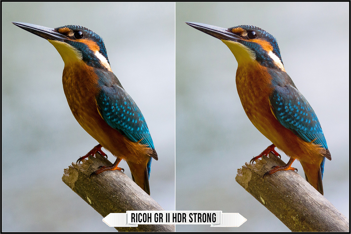 Ricoh Image Controls & Creative Mode, a Plug-in Add-On by Raztrend (Photo 19 of 31)