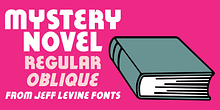Mystery Novel JNL