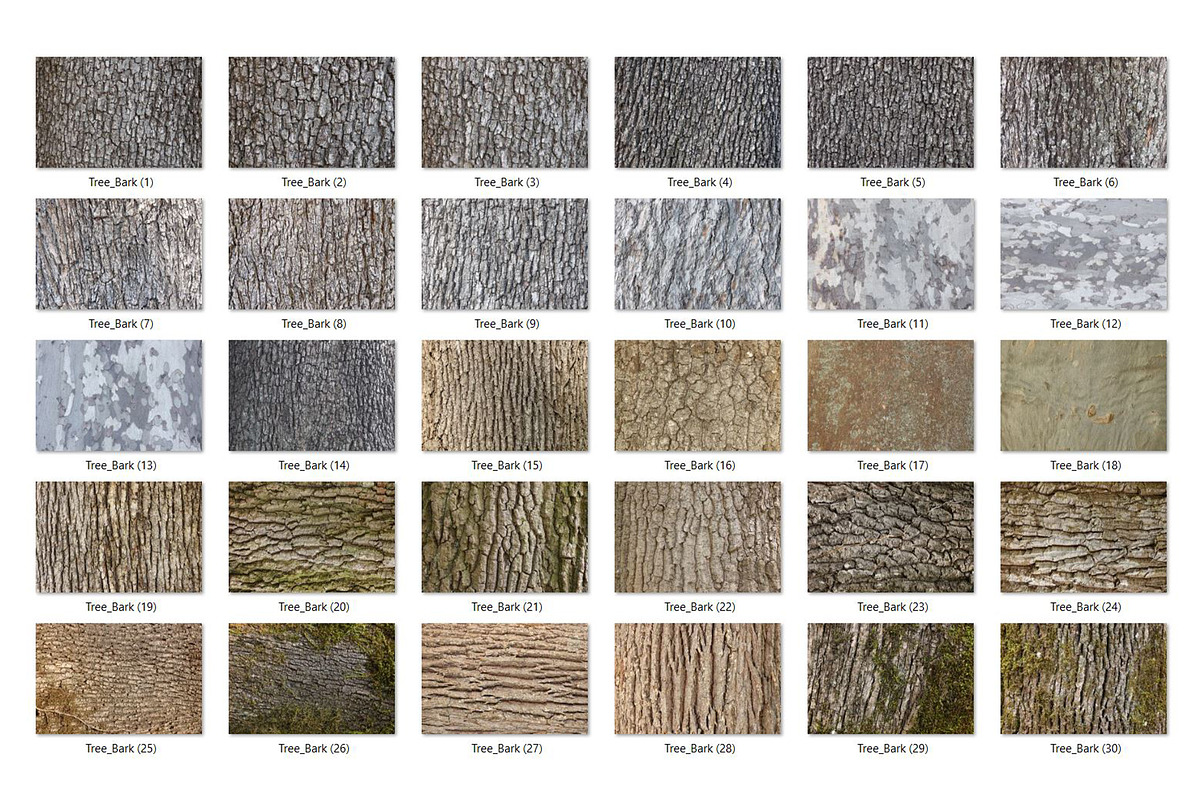 30 Tree Bark Textures HQ, a Texture Graphic by CCPreset (Photo 2 of 2)