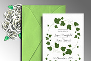Ivy Vector Illustrations, an Illustration by MyNatureGraphics (Thumbnail 4 of 4)