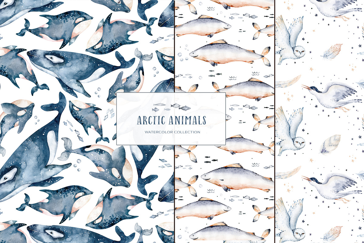 Arctic cute animals.  Watercolor set, an Animal Illustration by Peace ART (Photo 21 of 22)