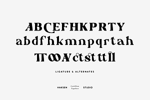 Castillian Modern Serif Family