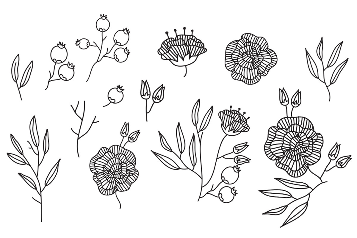 Line Floral Element, an Object Graphic by byherline (Photo 2 of 4)