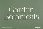 Charlene - An Elegant & Stylish Font, a Serif Font by Komet & Flicker (Thumbnail 6 of 16)