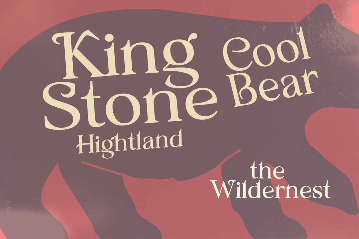Castile, a Serif Font by Fontastic (Photo 3 of 9)