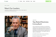 Accounting and Management Consulting, a WordPress Template by MasterDesigns (Thumbnail 4 of 10)