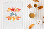 Autumn leaves. Watercolor clipart, an Illustration by VerAna (Thumbnail 6 of 8)