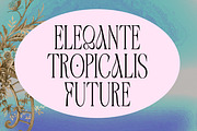 Astone Nouvea, a Sans Serif Font by Gatype (Thumbnail 2 of 9)