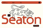 CS Seaton Drawn, a Sans Serif Font by Craft Supply Co. (Thumbnail 1 of 8)