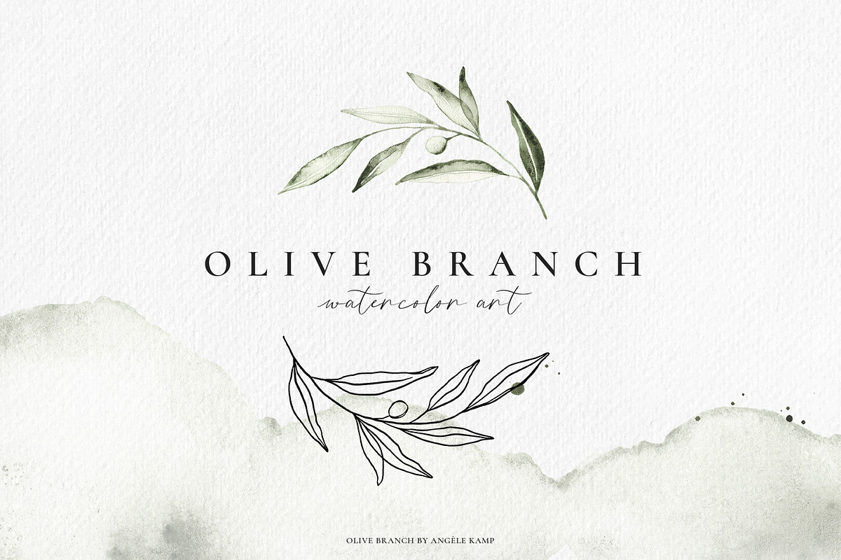 Olive branch watercolor illustration, an Illustration by Angele Kamp (Photo 1 of 13)