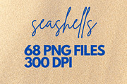 Watercolor seashells clipart, an Object Graphic by My Creative Corner (Thumbnail 3 of 3)
