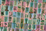 Botanical Surrealism, a Texture Graphic by Nomad Visuals (Thumbnail 9 of 19)