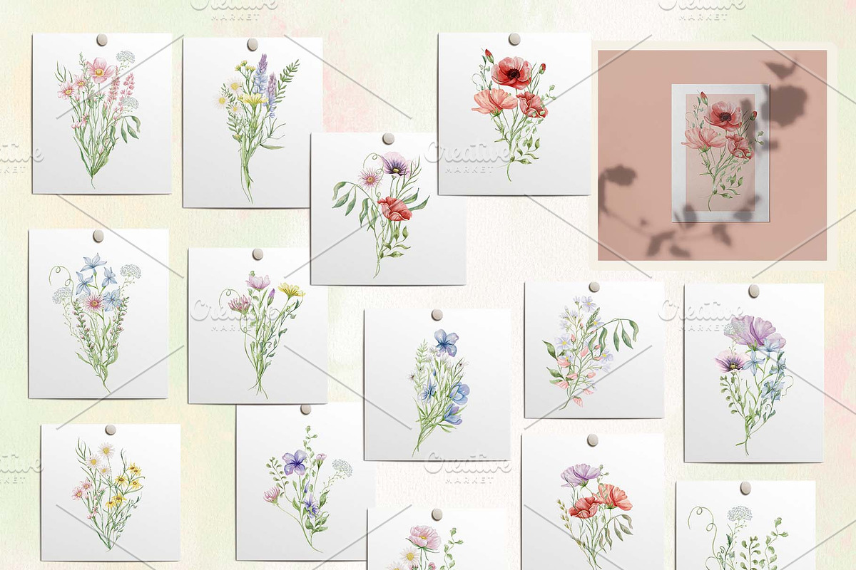 Watercolor Wildflowers Botanical Set, a Decorative Illustration by BarvArt (Photo 7 of 22)