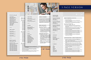Clean Professional Resume Template, a Resume Template by VictoriousVita (Thumbnail 4 of 8)