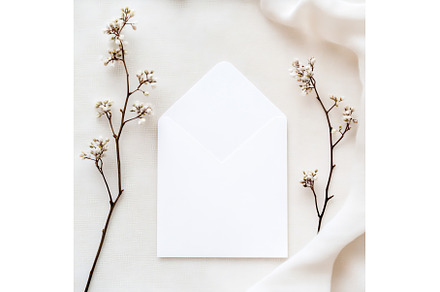 Minimalist white envelope surrounded, a Wallpaper Photo by Beautiful things