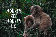 Jungle Display Font, a Script Font by Nadezda (Thumbnail 6 of 8)