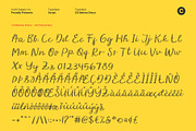 CS Belrise Disco, a Script Font by Craft Supply Co. (Thumbnail 8 of 8)