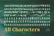 Castio – Bold Font, a Serif Font by Craft Supply Co. (Thumbnail 8 of 8)