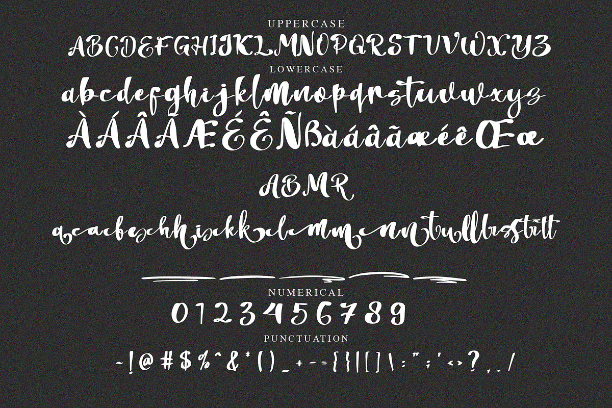Mellanitta Brush Script Font, a Script Font by NTC Graphic (Photo 8 of 9)