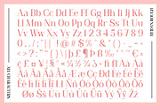 Heidan Rough, a Serif Font by Craft Supply Co. (Thumbnail 8 of 8)