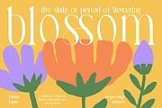 Pavon - 6 Tropic Family, a Serif Font by Dharmas Studio (Thumbnail 9 of 16)