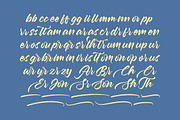 Aretlar Eraghes Bold Calligraphy, a Script Font by Letterena Studios Script (Thumbnail 8 of 20)