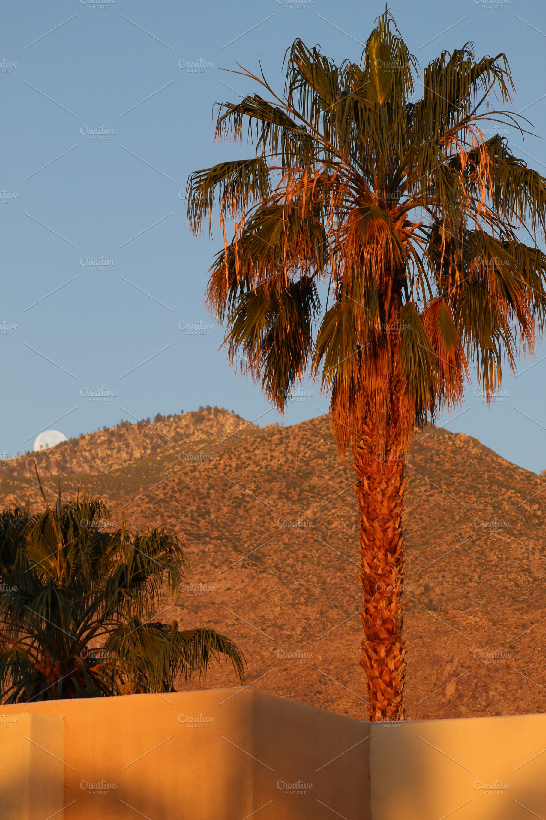 Dawn, Palm Springs, CA, a Nature Photo by Lindsay McGrath Photos
